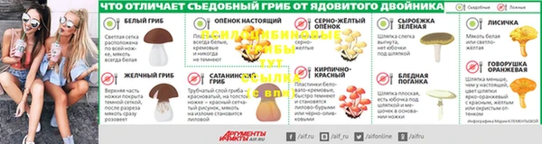 мдпв Липки