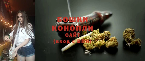прущий лед Верея
