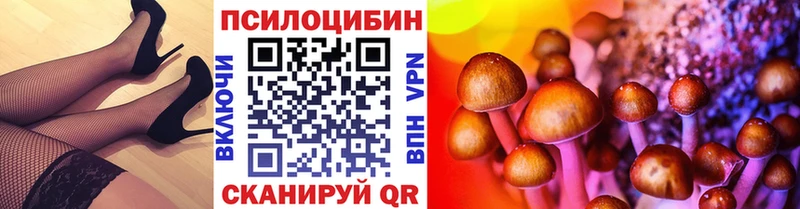 продажа наркотиков  Донецк  дарк нет как зайти  Псилоцибиновые грибы прущие грибы 