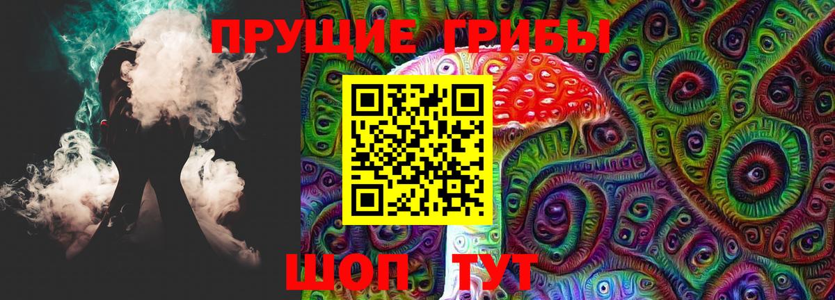 где можно купить наркотик  Донецк  Псилоцибиновые грибы GOLDEN TEACHER 