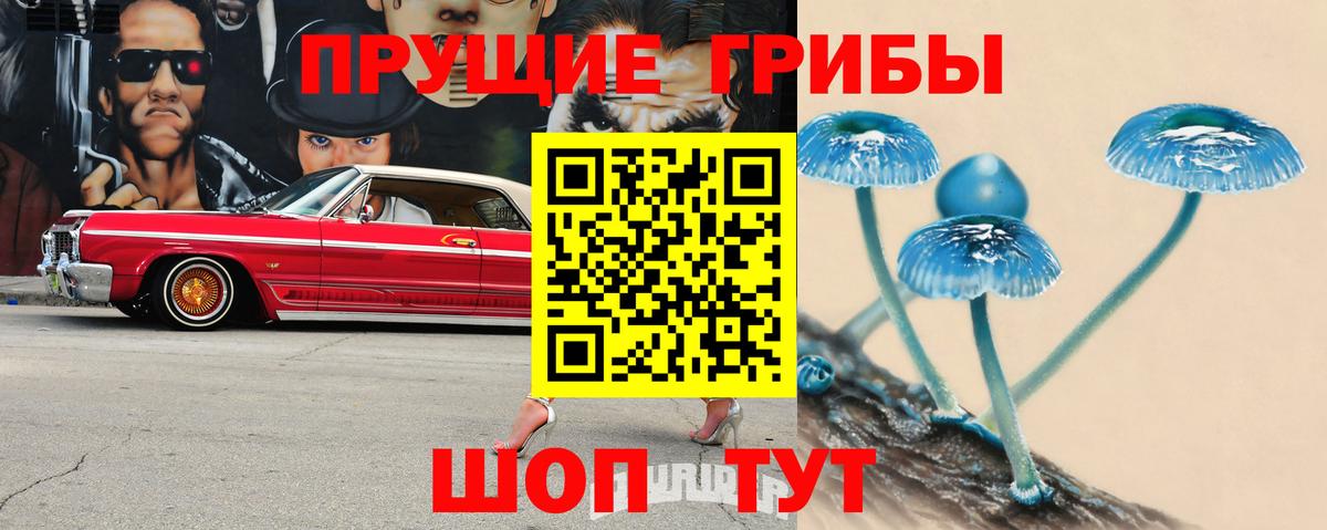 Псилоцибиновые грибы Psilocybe Донецк
