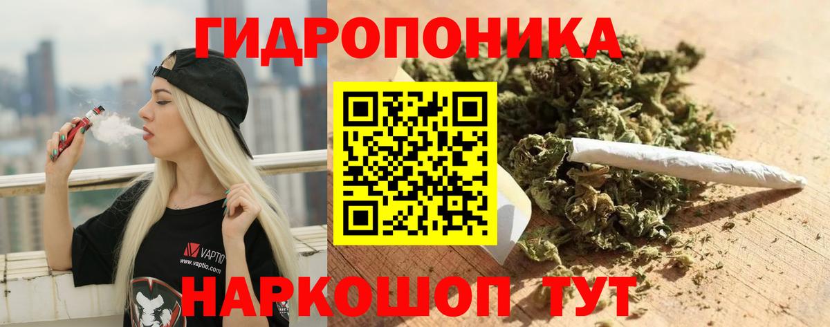 Бошки марихуана VHQ Донецк